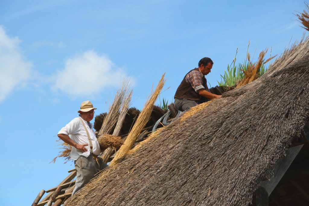 Rural immersion